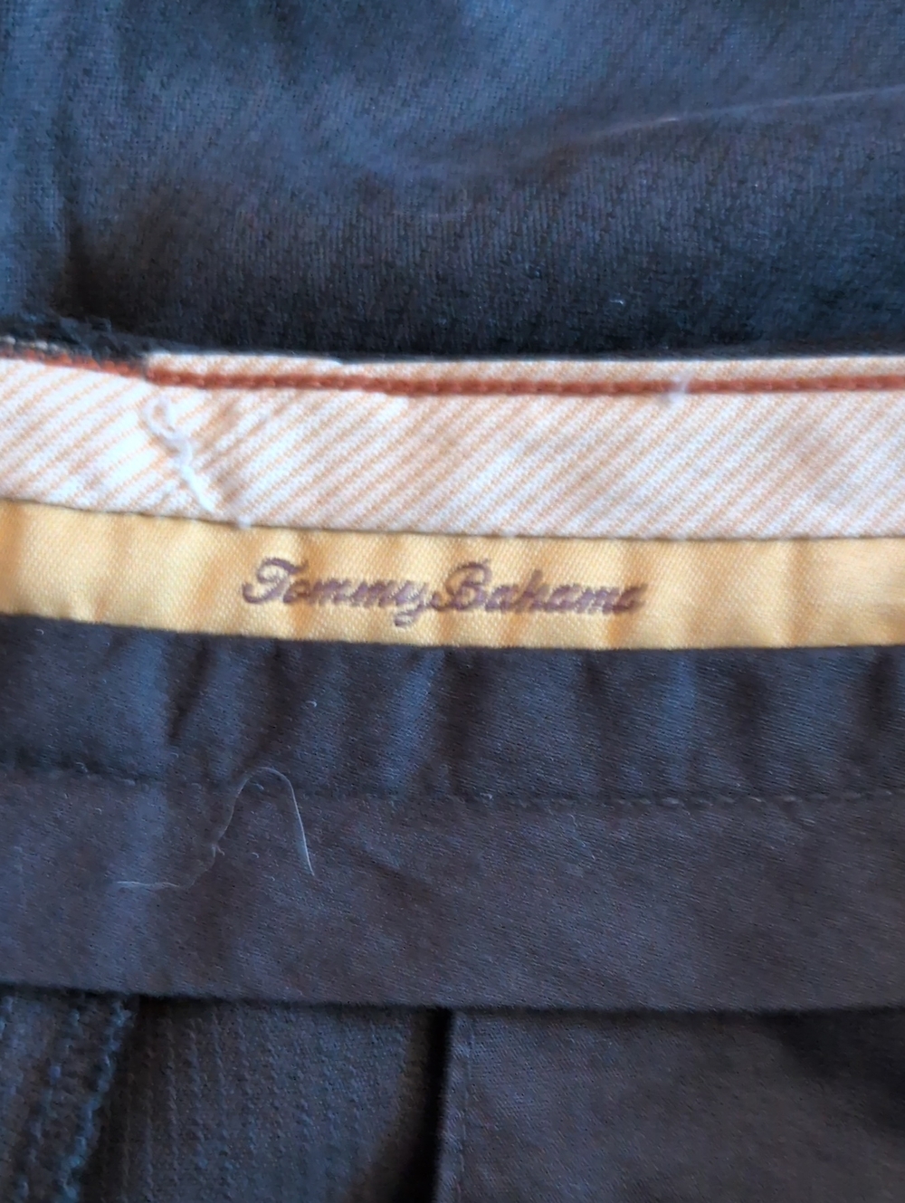 Tommy Bahama 100% Silk Chino Shorts Gorpcore Golf Resortwear Summer Cruise Prepp - Picture 6 of 7